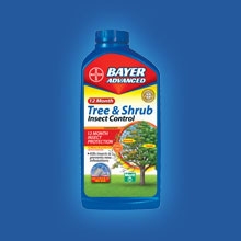 6115_Image Tree  Shrub Insect Control Concentrate.jpg